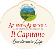 azienda agricola il capitano brandimarte luigi vendita online lenticchie di castelluccio di norcia